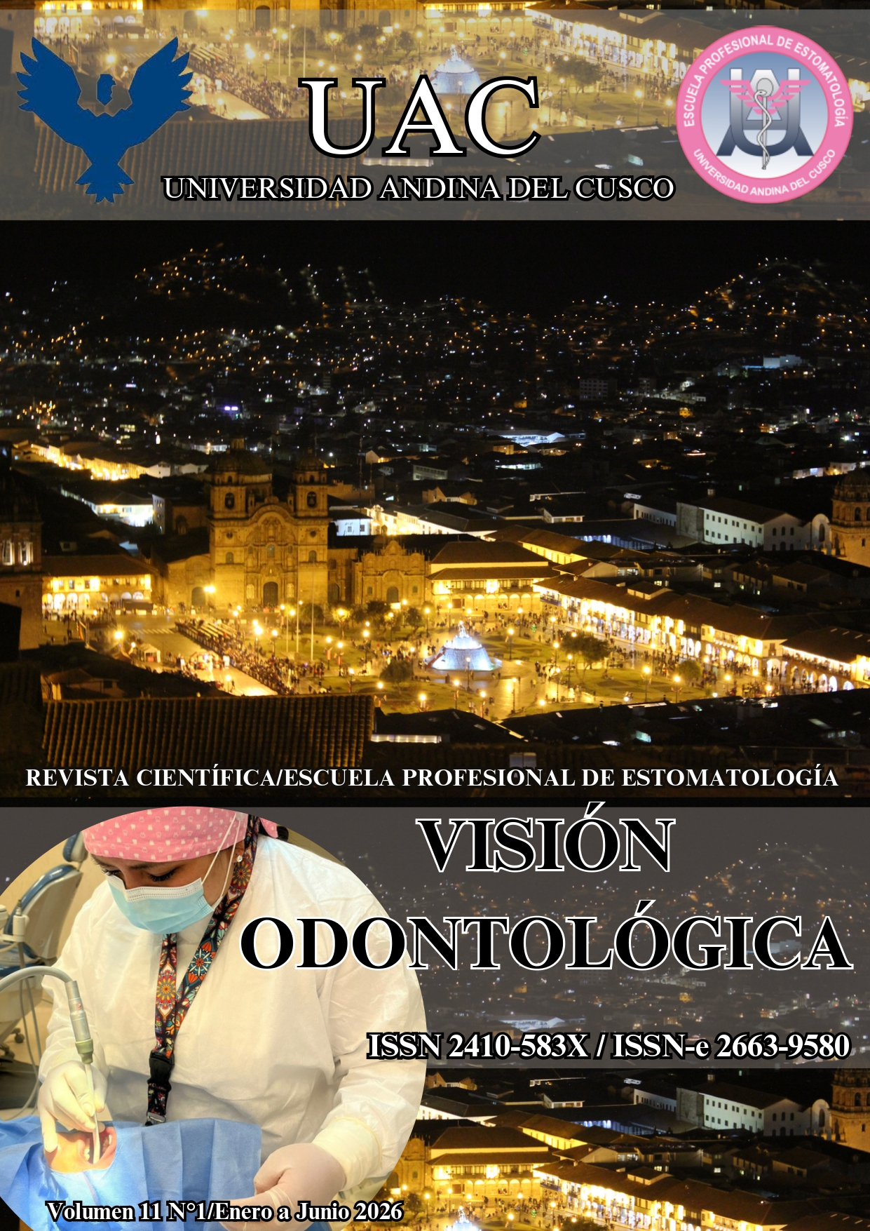 					Ver Vol. 11 Núm. 1 (2026): Visión Odontológica
				