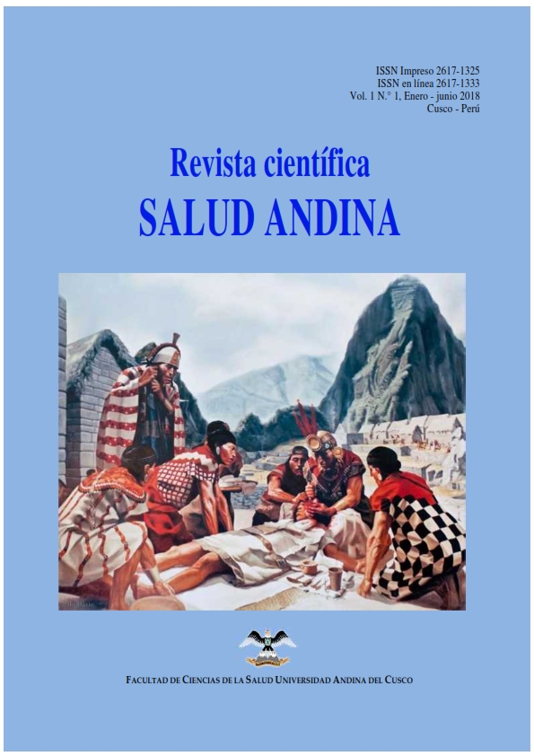 Salud Andina
