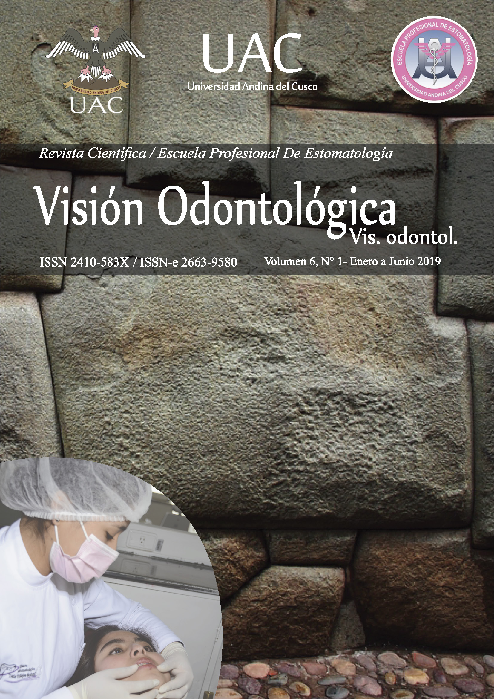 					Ver Vol. 6 Núm. 1 (2019): Visión Odontológica
				