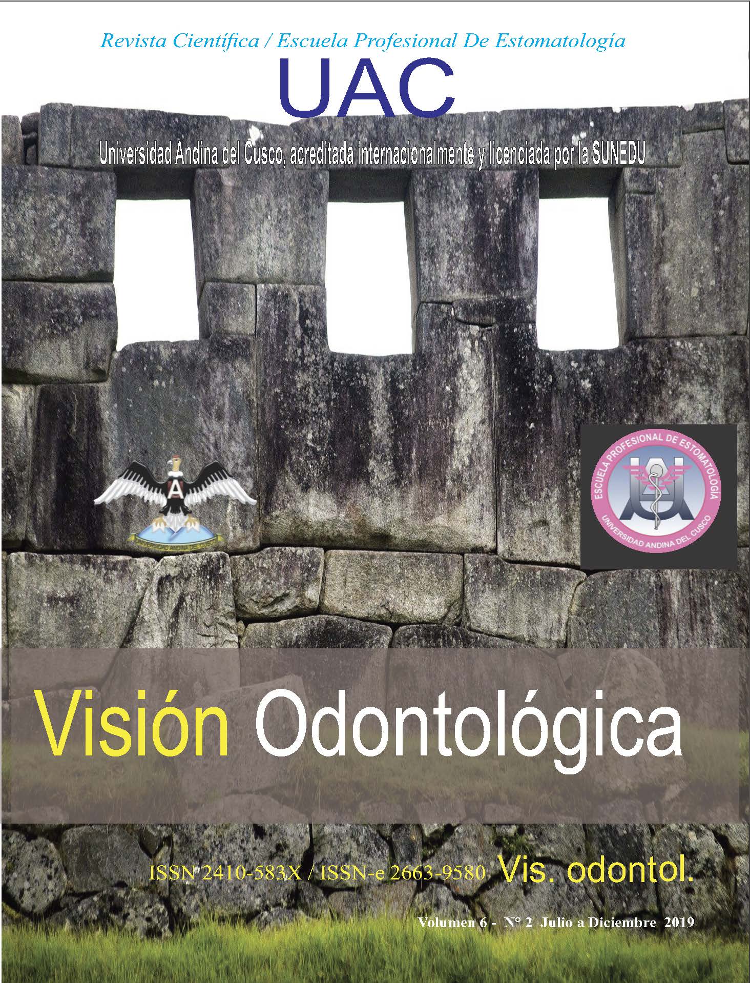 					Ver Vol. 6 Núm. 2 (2019): Visión Odontológica
				